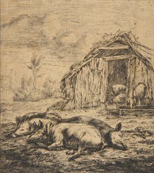 Three Pigs Lying in Front of a Shed, 1850. Creator: Charles Meryon.
