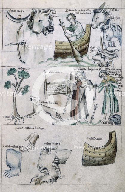 Leo; zodiac treatise, 14th century. Creator: Unknown.
