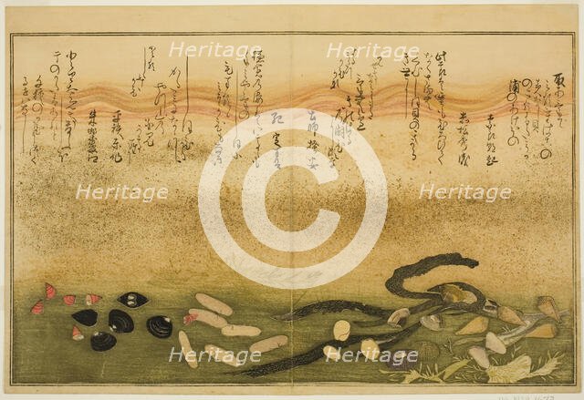 Minashi-gai, shio-gai, katatsu-gai, miso-gai, chijimi-gai, and chigusa-gai, from the illus..., 1789. Creator: Kitagawa Utamaro.