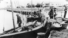 Fishermen unloading their catch from boats at Wynnum Creek, 1907. Creator: Unknown.