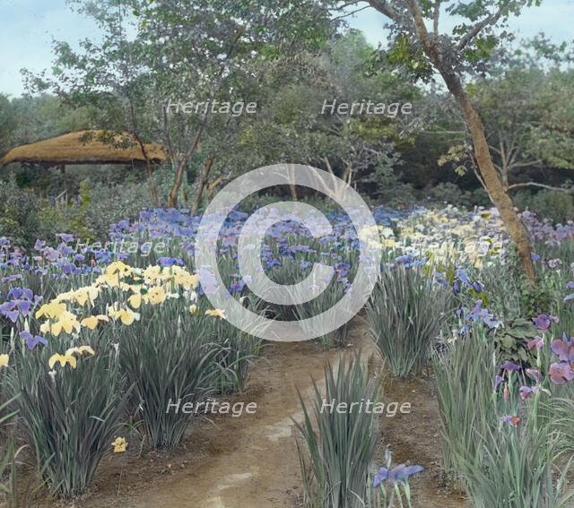 "Grey-Croft," Stephen Swete Cummins house, Huntting Lane, East Hampton, New York, 1913. Creator: Frances Benjamin Johnston.