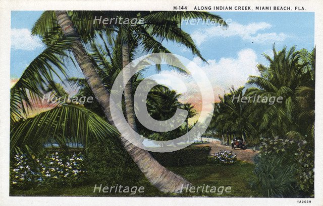 Along Indian Creek, Miami Beach, Florida, USA, 1931. Artist: Unknown