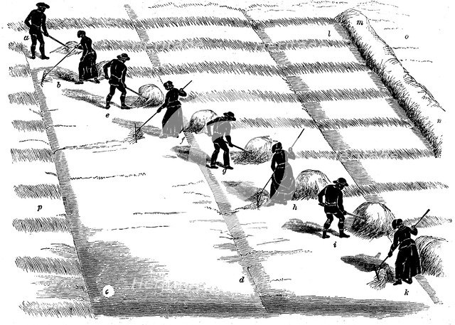Crop rotation: haymaking, 1855. Artist: Unknown