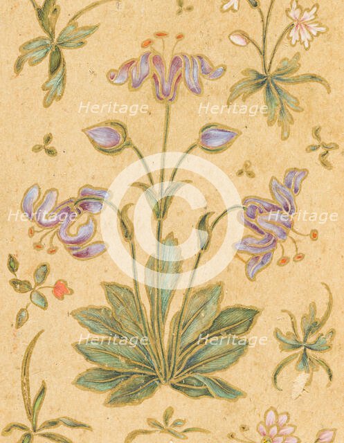 A Discourse Between Muslim Sages (image 4 of 6), c1630. Creator: Govardhan.