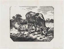 Bull and sheep in a pasture, ca. 1800-1899. Creator: Anon.