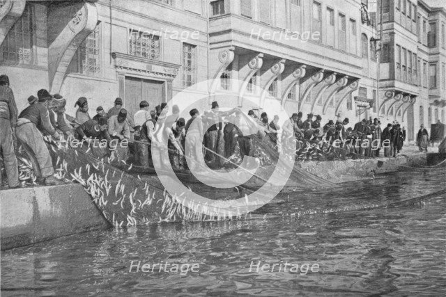 'Hauling in a Grippo of 15000 Fish at Emirgian on the Bosphorus', c1901, (1903). Artist: Unknown.