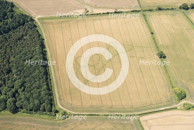 Cropmarks of an Iron Age and Roman settlement, West Northamptonshire, 2017. Creator: Damian Grady.