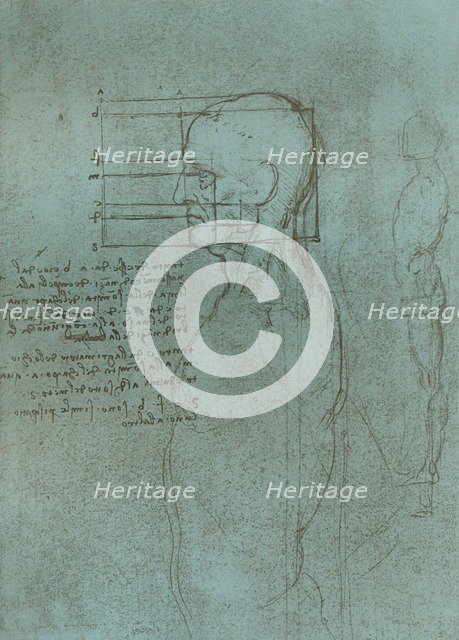 Drawing illustrating the theory of the proportions of the human figure, c1472-c1519 (1883).  Artist: Leonardo da Vinci.