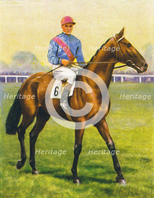 Cave Man,  Jockey: C. Richards', 1939. Artist: Unknown.