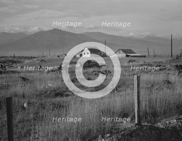New home, new fence, newly cleared land of farme..., Priest River Valley, Bonner County, Idaho, 1939 Creator: Dorothea Lange.