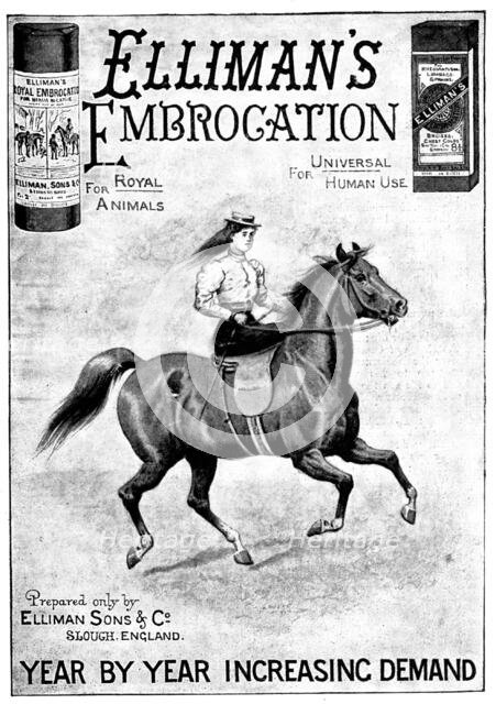 Advertisement for Elliman's Embrocation, 1898. Creator: Unknown.