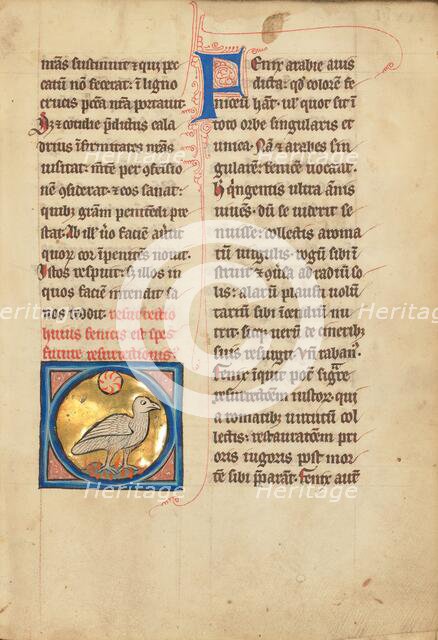 A Phoenix; De Natura Avium; De Pastoribus et Ovibus; Bestiarium, 1277 or after. Creator: Unknown.