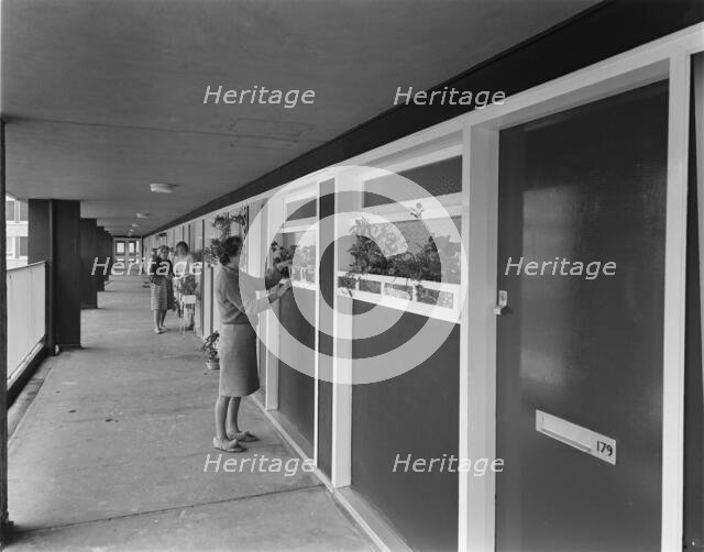 Hahnemann Court, Carley Hill Road, Southwick, Sunderland, 10/10/1966. Creator: John Laing plc.