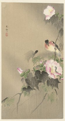 Bird and caterpillar, 1920-1930. Creator: Ohara, Koson (1877-1945).