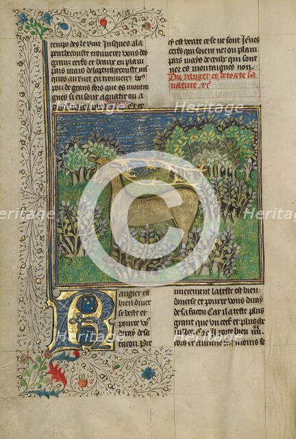 Reindeer; Livre de la Chasse, about 1430-1440. Creator: Unknown.
