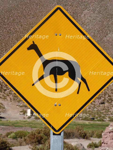 Llama warning road sign in Chile 2019. Creator: Unknown.