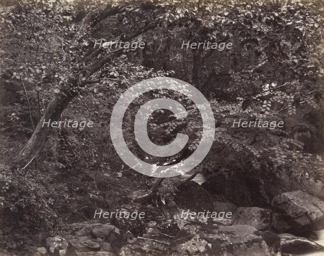Glen at Lynmouth, 1860s. Creators: Francis Frith, Francis Bedford.