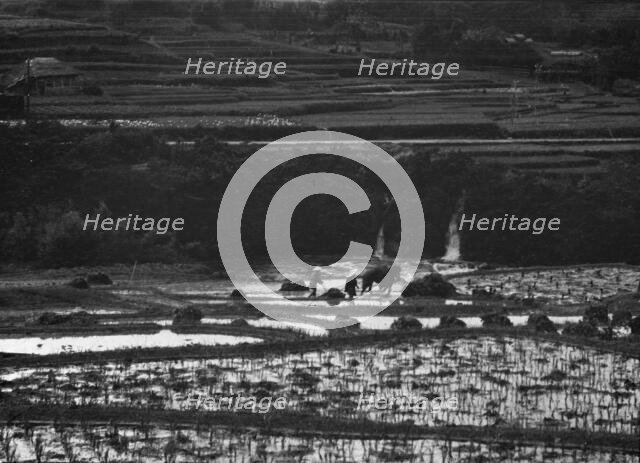Travel views of Japan and Korea, 1908. Creator: Arnold Genthe.