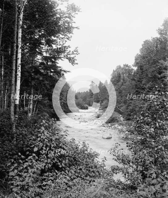 Ammonoosuc and Mt. Clay, Mt. Pleasant Farm, White Mountains, The, between 1900 and 1906. Creator: Unknown.