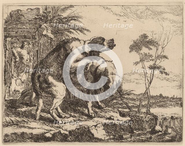 Two Dogs Copulating, probably c. 1640/1642. Creator: Jan Fyt.