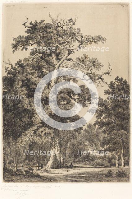 Ancient Oak in the Bois de Boulogne, 1855. Creator: Eugene Blery.