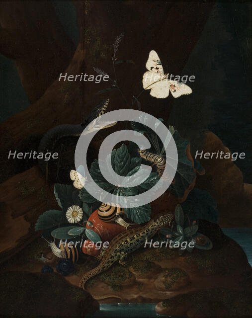 Forest Floor Still Life, 1735. Creator: Karl Wilhelm de Hamilton.