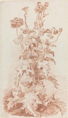Poppies with Seed Pods, mid 1760s. Creator: Jean Baptiste Marie Huet.