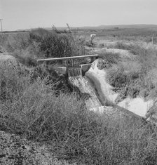 Irrigation ditch, showing drop in canal, Dead Ox Flat, Malheur County, Oregon, 1939. Creator: Dorothea Lange.