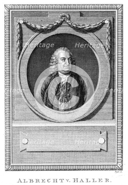 Albrecht von Haller, Swiss physician and scientist, c1770 (c1780). Artist: Unknown