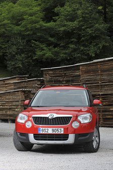 Skoda Yeti 2009. Artist: Simon Clay.