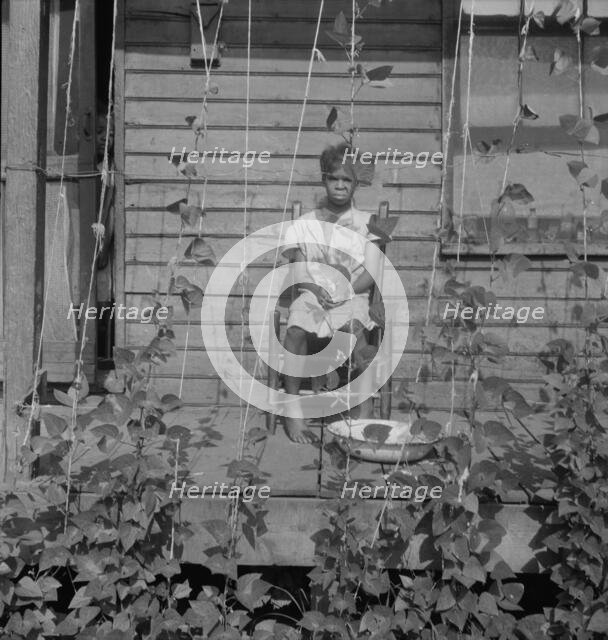 Butter bean vines across the porch, negro quarter in Memphis, Tennessee, 1938. Creator: Dorothea Lange.