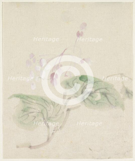 Pink wisteria, 1808-1861. Creator: Utagawa Kuniyoshi.