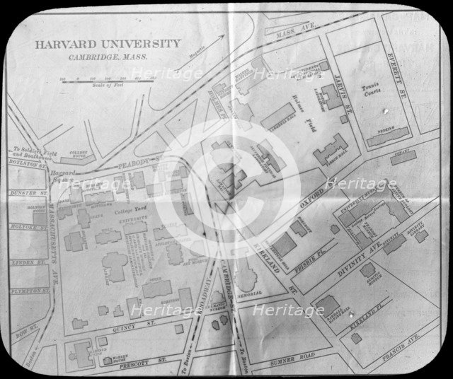 Harvard University campus map, Cambridge, Massachusetts, USA, late 19th or early 20th century. Artist: Unknown