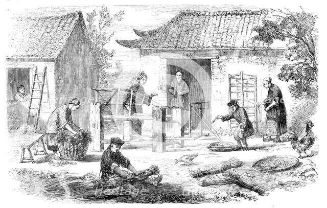 Silk Culture in China: preparing raw silk, 1857. Creator: Unknown.