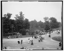 Central Avenue, Belle Isle Park, Detroit, between 1880 and 1930. Creator: Unknown.