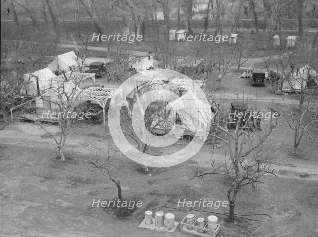Farm Security Administration (FSA) temporary camp for migrants, Gridley, California, 1939 Creator: Dorothea Lange.
