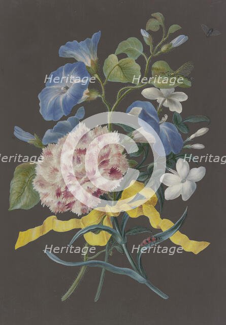 Arrangement of pink carnations (Dianthus), blue bindweed (Convolvulus), and white jasmine ... Creator: Barbara Regina Dietzsch circle.