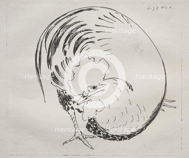 The High-Fired Service: Rooster (counterproof), c. 1860. Creator: Félix Bracquemond (French, 1833-1914).