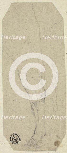 Cow's Leg, n.d. Creator: Unknown.