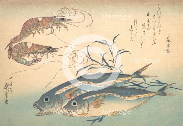 Aji Fish and Kuruma-ebi, from the series Uozukushi (Every Variety of Fish), 1830s., 1830s. Creator: Ando Hiroshige.