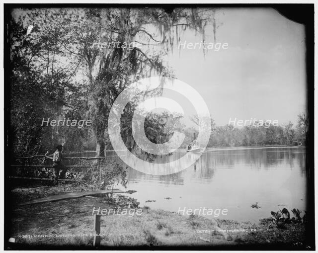 Monroe landing, Rice Creek, between 1880 and 1897. Creator: William H. Jackson.