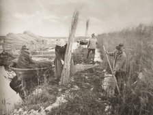 During the Reed-Harvest, 1886. Creator: Peter Henry Emerson.