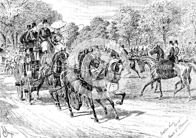 Advertisement for Elliman’s Universal Embrocation, 1890. Creator: William Stanfield Sturgess.