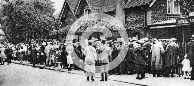 A queue for the zoo on a national holiday, London, 1926-1927. Artist: Unknown