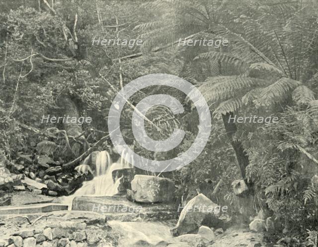 'At St. Crispin's Well', 1901. Creator: Unknown.