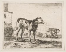 Plate 11: dogs, from 'Various animals' (Diversi animali), ca. 1641. Creator: Stefano della Bella.