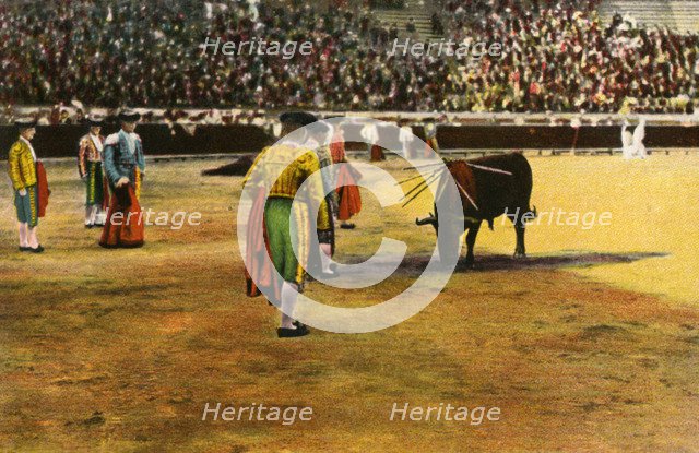 Bull fight, 20th century. Artist: Unknown