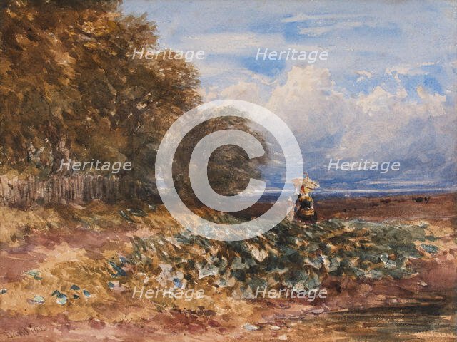 The Edge of the Wood, c1830s. Creator: David Cox the Elder.
