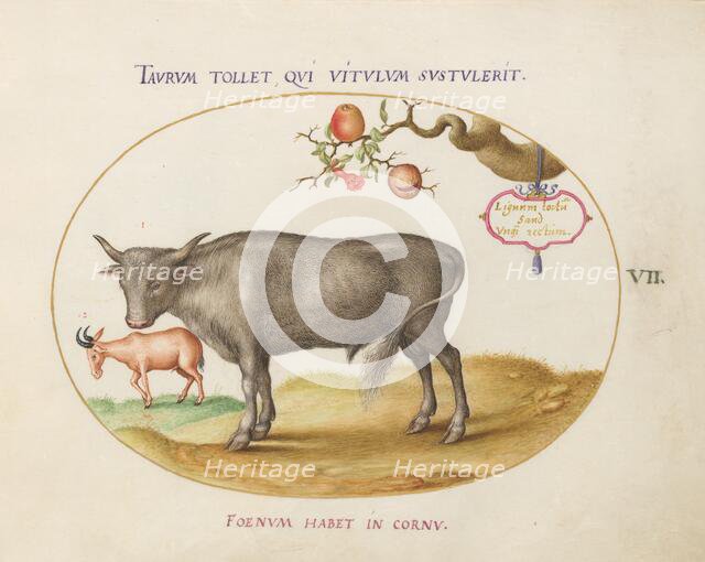 Animalia Qvadrvpedia et Reptilia (Terra): Plate VII, c. 1575/1580. Creator: Joris Hoefnagel.