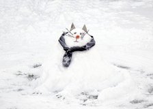 Snow scene with a 'snowcat' snowman, c2010. Artist: Peter Williams.